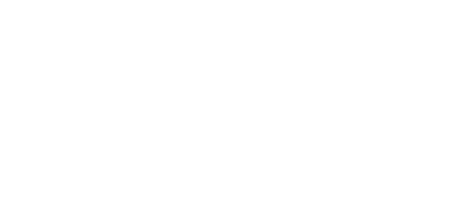 Monty Cleaning Services